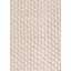 Paani Hand Loomed Area Rug in Ivory-1427666311
