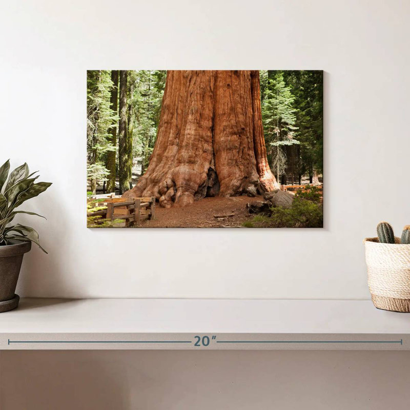 Harnek Ancient Sequoia Tree, 8" H x 12" W