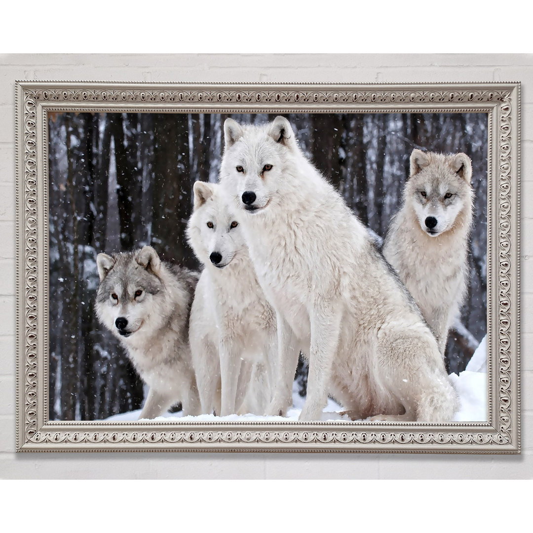 White Wolf Pack - Drucken