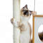 35-Inch Wooden Medium Cat Tree House-117068837
