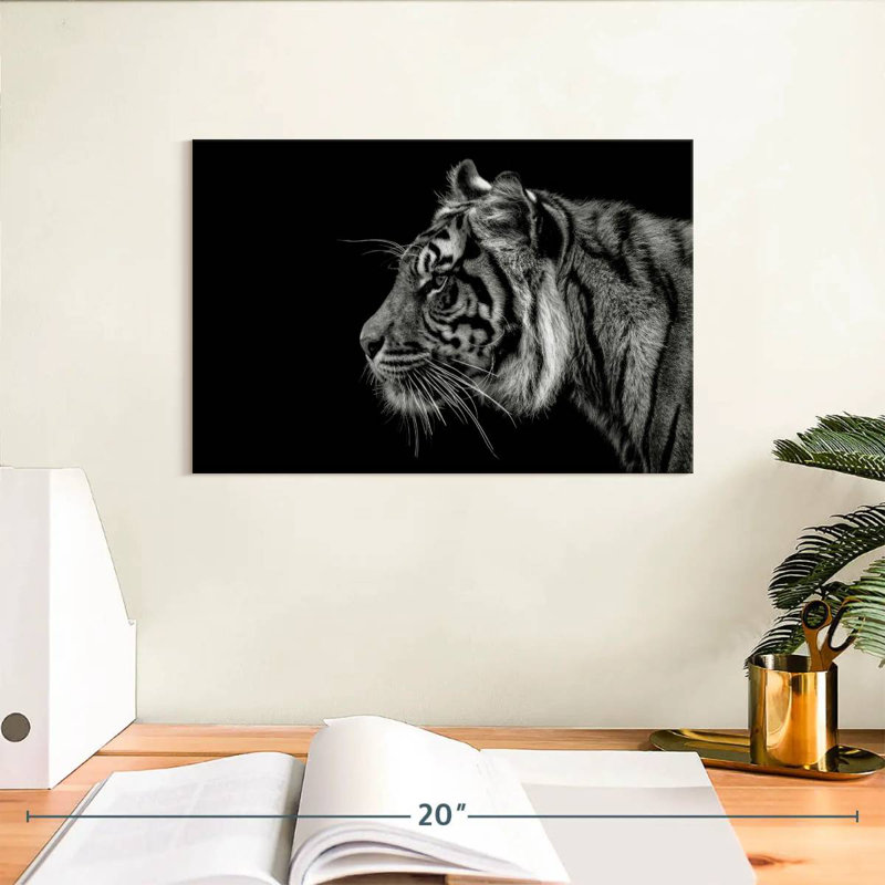 Profil de tigre Brampt, H 8 po x l 12 po