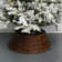 Tanacross Polyresin Tree Collar