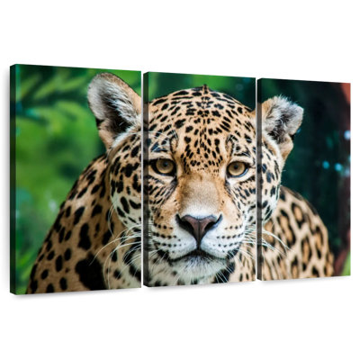 Jaguar solitaire