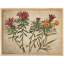 "Fleurs, art floral botanique rustique, affiches encadrées, petit art mural de salle de bain"-101825552-101825549