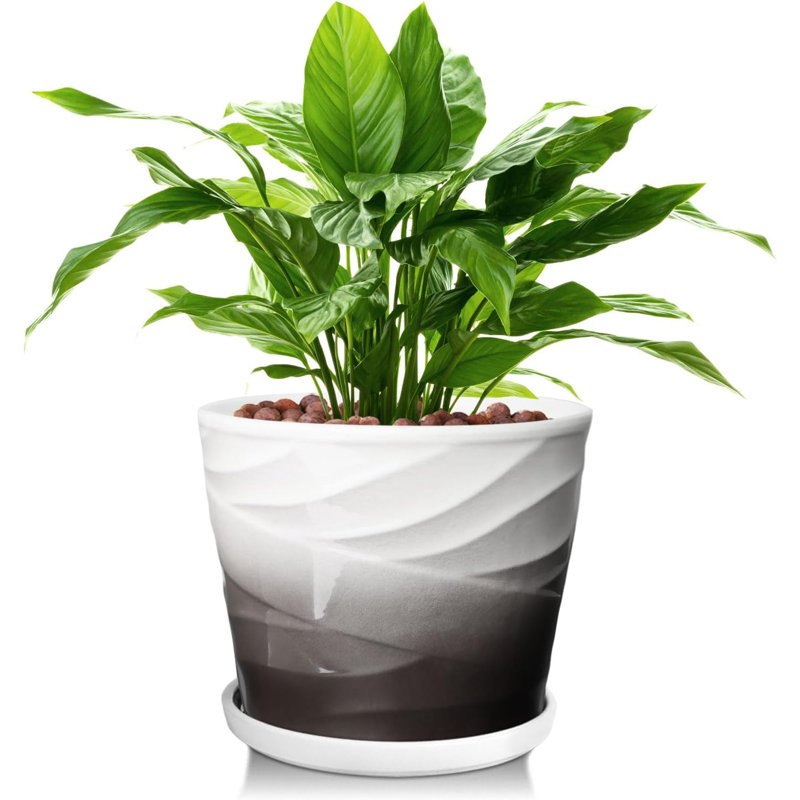 Pot à plante en céramique 8 "avec drainage et soucoupe 8"