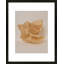 Unpackage 2 Print by Svetlana Smirnova-1014015166-1011061865