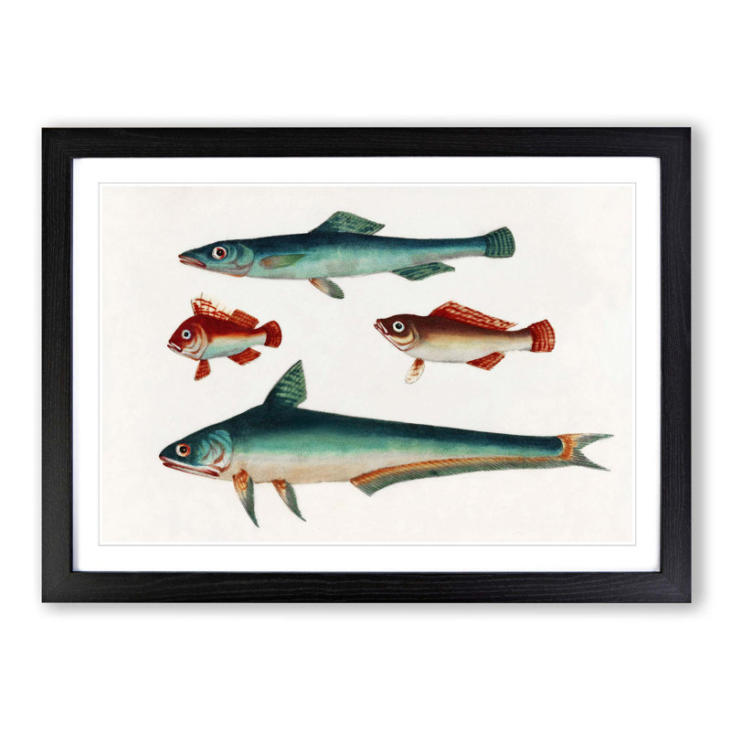 Two Brown and Green Fish - Picture Frame Painting Print, Black Framed, 36cm H x 48cm W x 2cm D