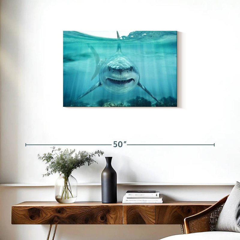 Requin blanc Brampt, H 20 po x l 30 po