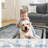 Modern Bordered Washable Rug Non Slip Throw Rugs for Entryway Soft Bedroom Entry Mat Non-Shedding Accent Rugs Black 2 * 6ft-484491347