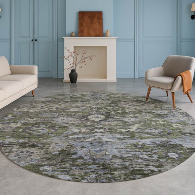 Machine Washable Indoor/Outdoor Chantille ACN2430 Traditional Rug
