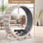 Cat Exercise Wheel For Indoor Cats