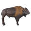 Statue à grande échelle Buffalo of the Great Plains