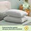 Silentnight Luxury Finish Anti Allergy Pillows