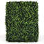 Mur de haie Gardenia-1952003774
