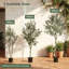 Plant-1480629305