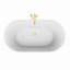 Baignoire autoportante en acrylique L 65 3/4 po x l 34 1/4 po x H 23 1/8 po Encore-96207797