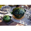 Staub Cast Iron 3-qt Artichoke Cocotte - Basil