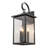 Manasas Iron Wall Light