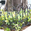 Corinth 62cm H x 59cm W Metal Fence Panels Included-881658275