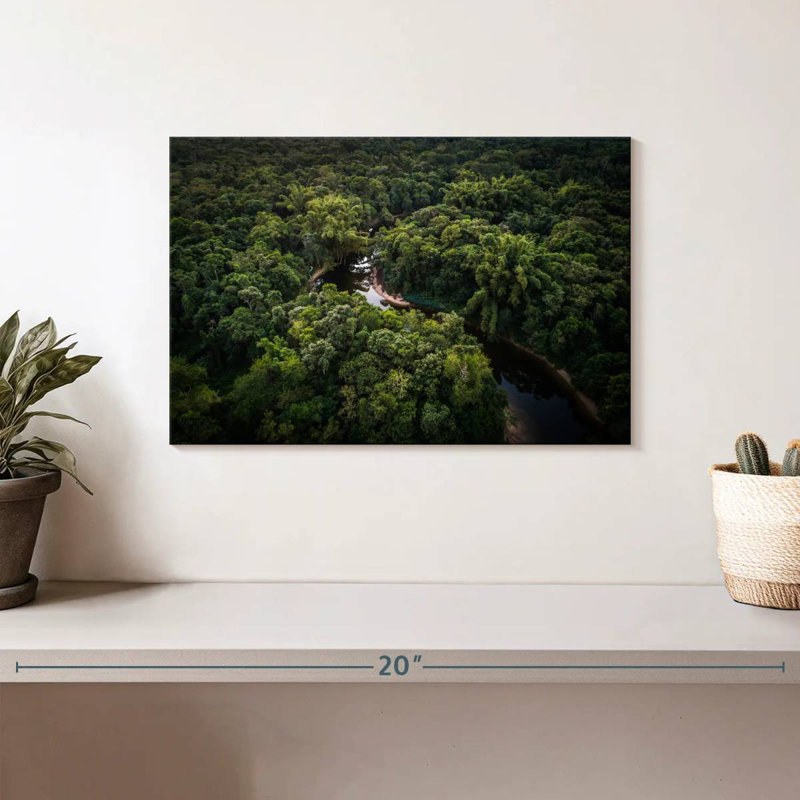 Atlantic Forest River, H 8 po x l 12 po