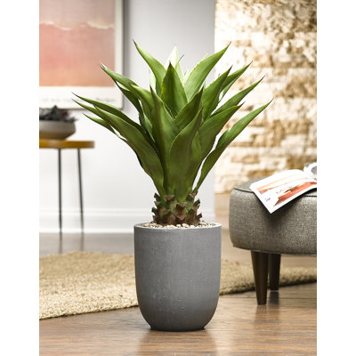 36'' Faux Sisal Plant in Planter