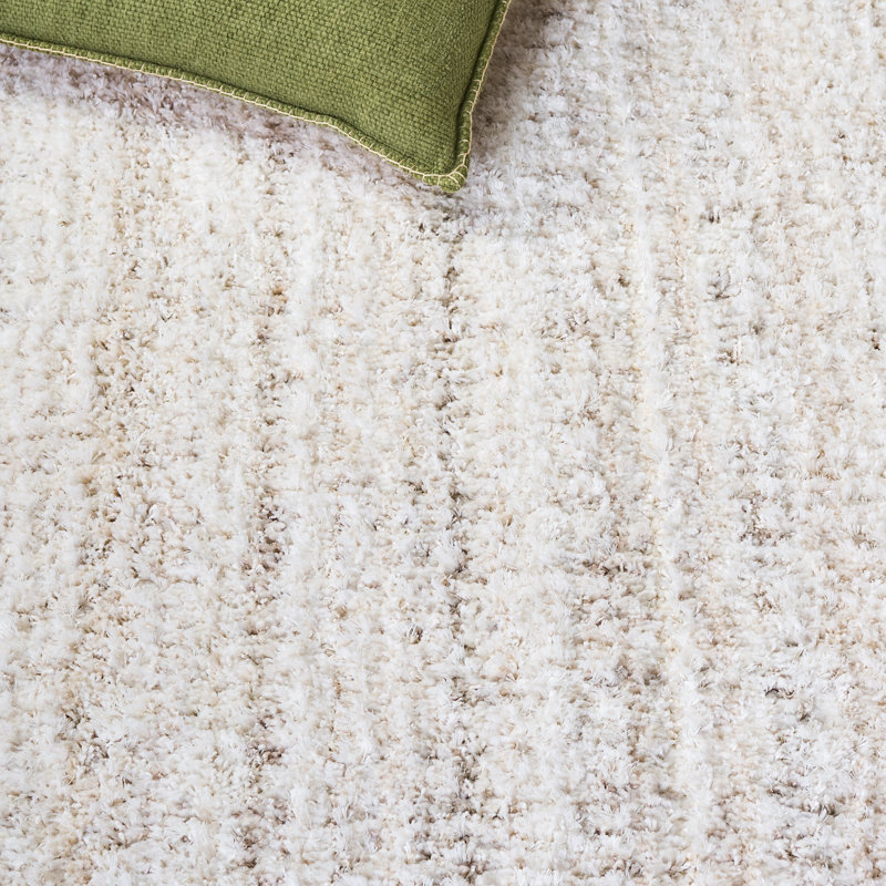 Tapis d'intérieur à poils longs Everett Performance, Rectangle 5 pi 3 po x 7 pi