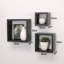 Chakiya 3 Piece Square Floating Shelf