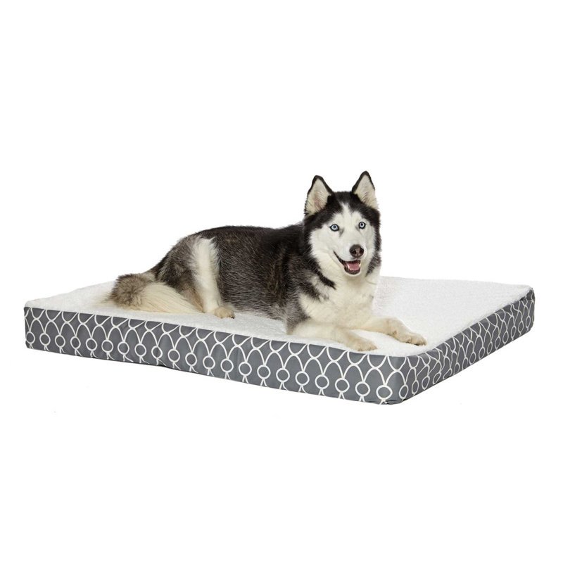 Lit orthopédique pour chien MidWest Homes for Animaux Defender EcoSpring, l 40 po P 30,25 po x H 10 po