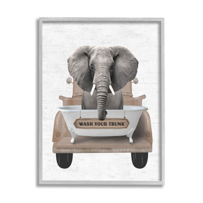 «Wash Your Trunk Elephant» par lettré et doublé