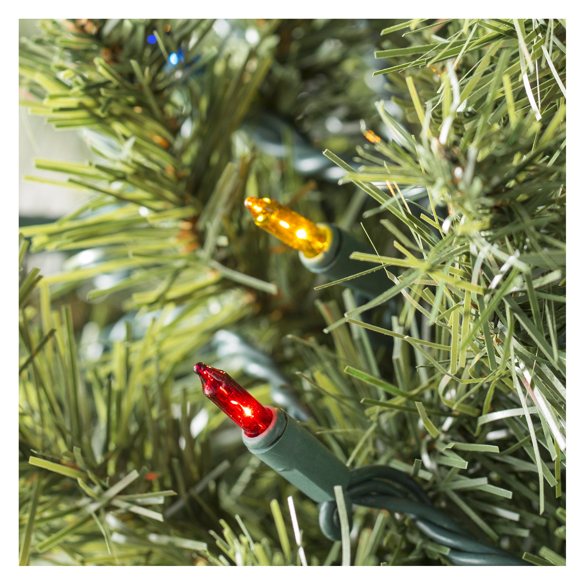 606'' String Lights, Multi