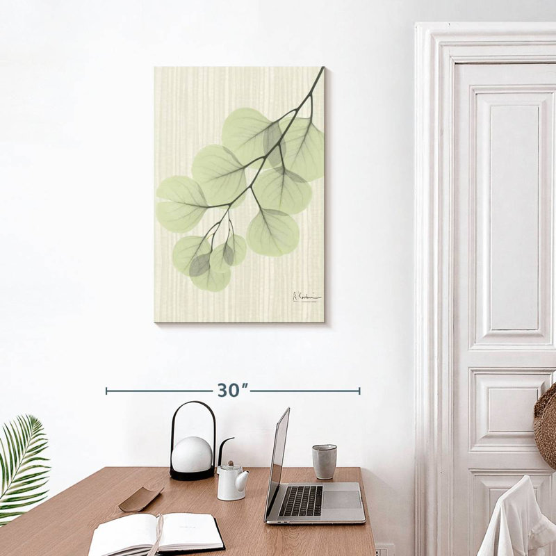 Harnek Eucalyptus VIII, 30" H x 20" W