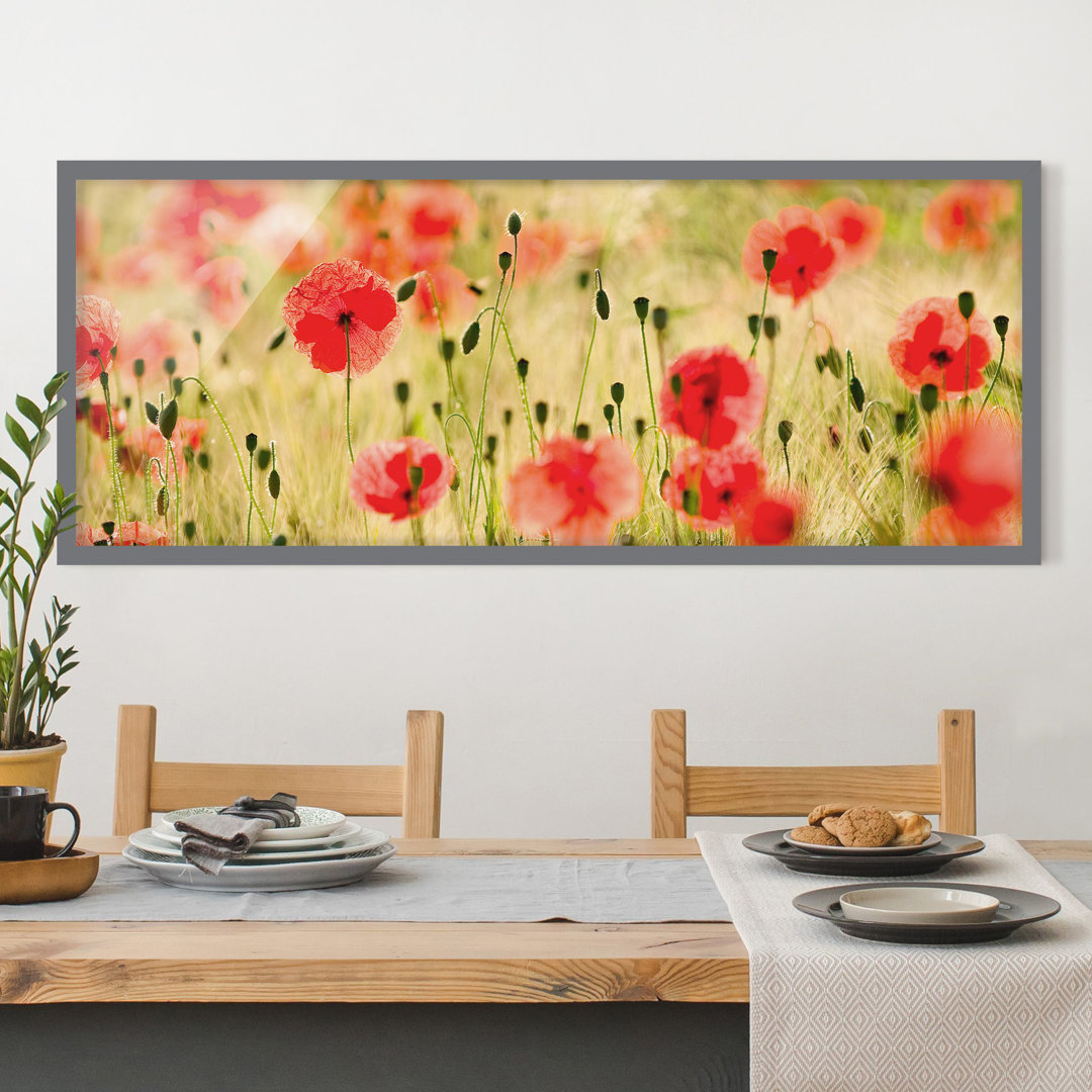 Gerahmtes Poster Summer Poppies