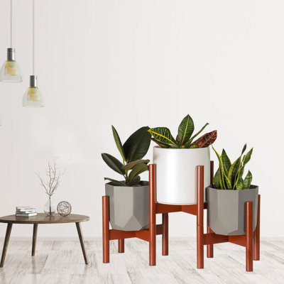 Support pour plante en bois massif Diletto