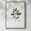 Impression florale vintage encadrée CLxxxii - bois massif-731867695