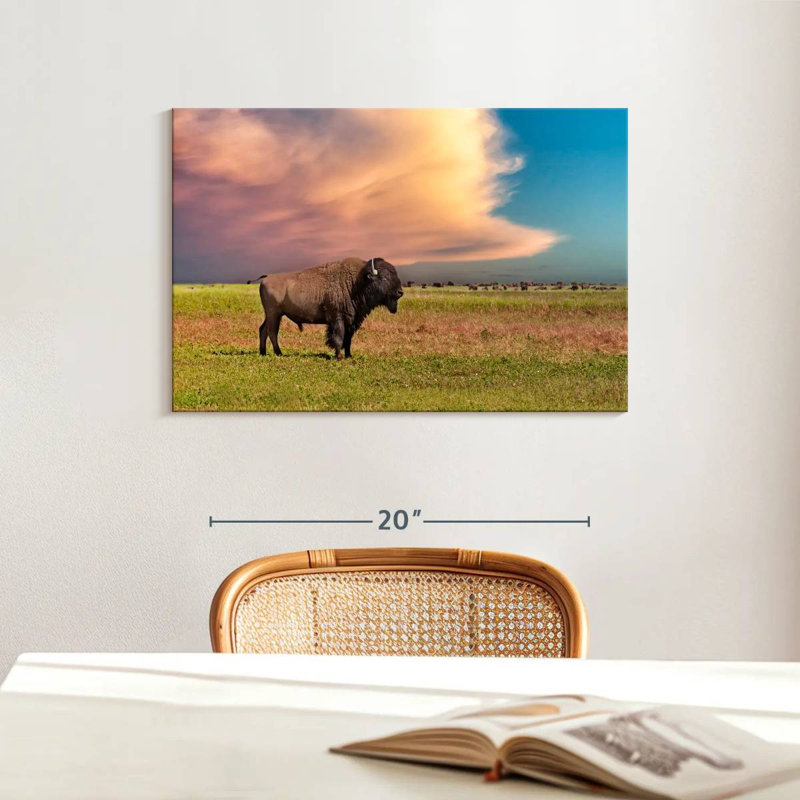 Brampt Badlands Bison, 16" H x 24" W