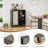 Rattan Accent Cabinet With Adjustable Shelves-1670196465