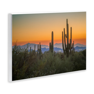 «Cacti Looming» par Marty Hulsebos
