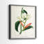 Reproduction encadrée Turpin Tropical Botanicals IX-Premium - prête à être accrochée-1325991307-1325991306