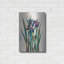 "Iris Inlay" par Louise Montillio-1831521788