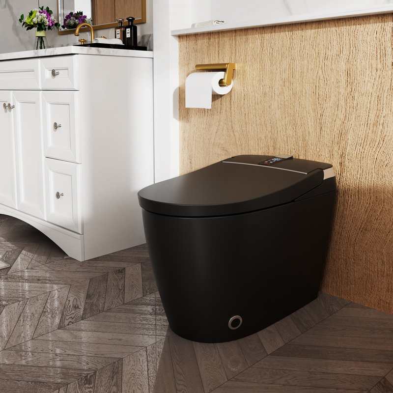 BirchLn Smart One-Piece Toilet With Heated Seat, Auto Flush, Automatic Lid, Bidet Wash And Air Dryer, Black