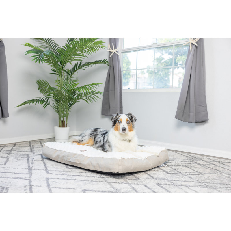 Large White and Beige Velvet Dog Bed with Poly Fill