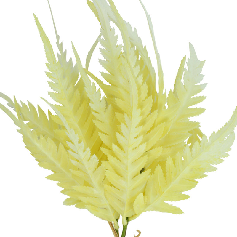 Fern Bundle (Set of 2), Cream