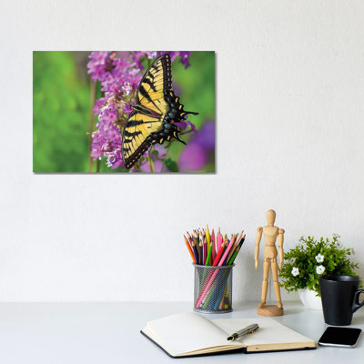 Splash Of Color by David Gardiner - Wrapped Canvas Print