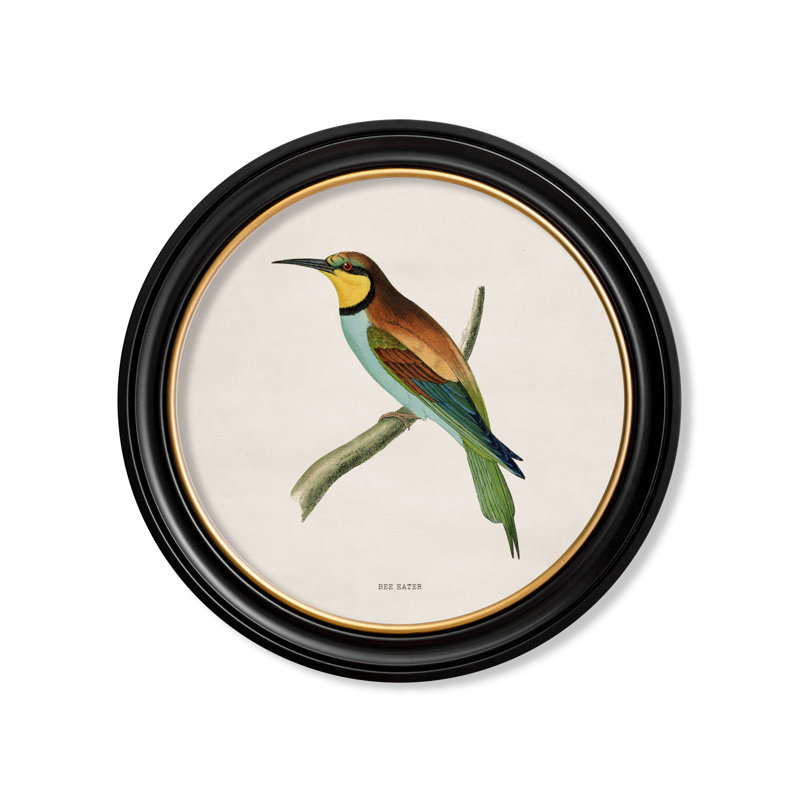 Bee Eater by Mid-1800s - Single Picture Frame Print on Archival Matt 230gsm Paper