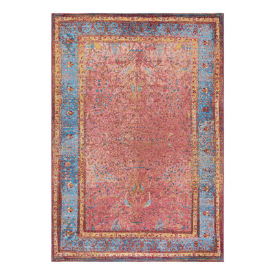 Indoor/Outdoor Traditional Area Rug