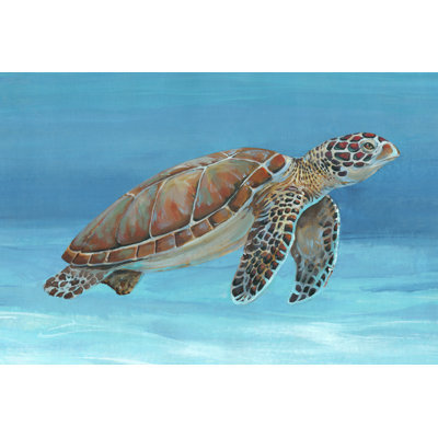 " Ocean Sea Turtle I "