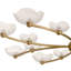Fleurana Chandelier