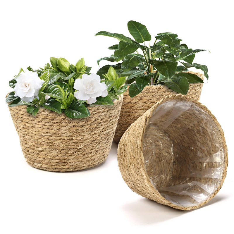 Ensemble de 3 paniers de jardinière tissés en jacinthe d'eau avec doublure en plastique, plante de plancher bohème rustique et paniers de rangement