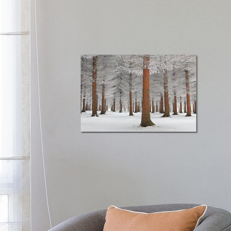 Magical Forest by Dragisa Petrovic - Wrapped Canvas Print, 66.04 cm H x 45.72 cm W x 1.91 cm D