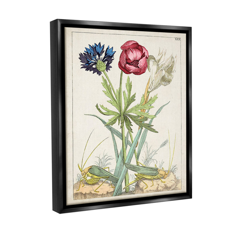«Blooming Bulbs & Grasshoppers Floater Frame» par World Art Group sur, Cadre flottant noir de jais, H 31 po x l 25 po